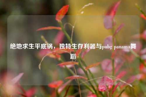 绝地求生平底锅,独特生存利器与pubg panama舞蹈