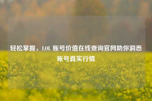 轻松掌握，LOL 账号价值在线查询官网助你洞悉账号真实行情