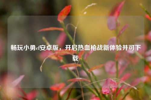 畅玩小勇cf安卓版，开启热血枪战新体验并可下载