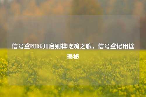 信号登PUBG开启别样吃鸡之旅,信号登记用途揭秘