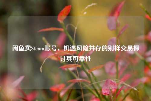 闲鱼卖Steam账号，机遇风险并存的别样交易探讨其可靠性