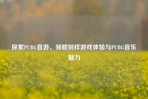 探索PUBG音游,领略别样游戏体验与PUBG音乐魅力