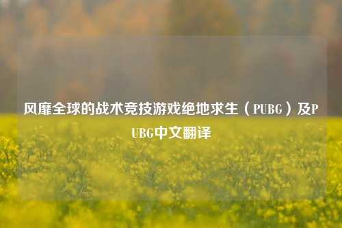 风靡全球的战术竞技游戏绝地求生(PUBG)及PUBG中文翻译