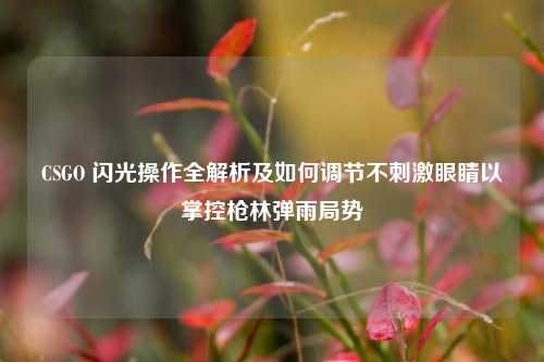 CSGO 闪光操作全解析及如何调节不刺激眼睛以掌控枪林弹雨局势