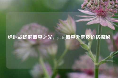 绝地战场的蓝黑之光，pubg蓝黑外套及价格探秘
