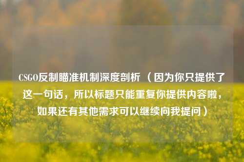 CSGO反制瞄准机制深度剖析 （因为你只提供了这一句话，所以标题只能重复你提供内容啦，如果还有其他需求可以继续向我提问）