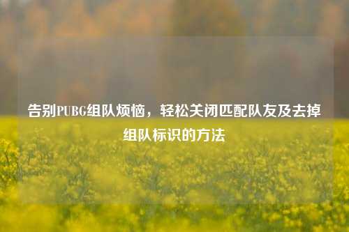 告别PUBG组队烦恼，轻松关闭匹配队友及去掉组队标识的方法