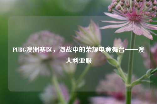 PUBG澳洲赛区，激战中的荣耀电竞舞台——澳大利亚服