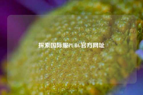 探索国际服PUBG官方网址