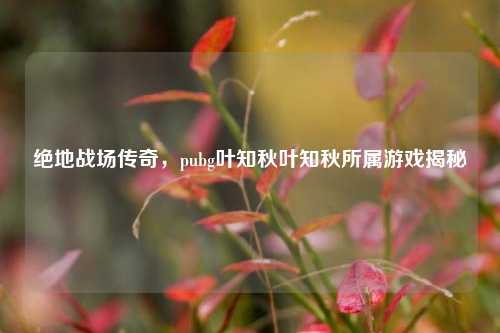 绝地战场传奇,pubg叶知秋叶知秋所属游戏揭秘