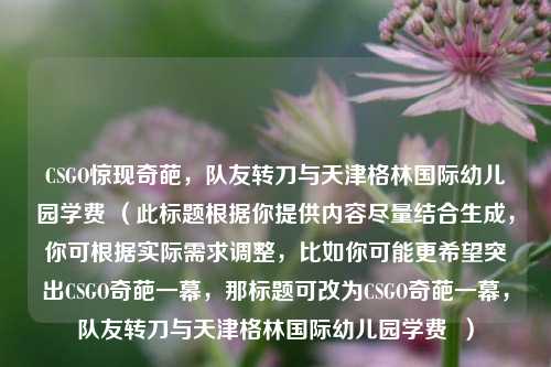 CSGO惊现奇葩,队友转刀与天津格林国际幼儿园学费 (此标题根据你提供内容尽量结合生成,你可根据实际需求调整,比如你可能更希望突出CSGO奇葩一幕,那标题可改为CSGO奇葩一幕,队友转刀与天津格林国际幼儿园学费 )