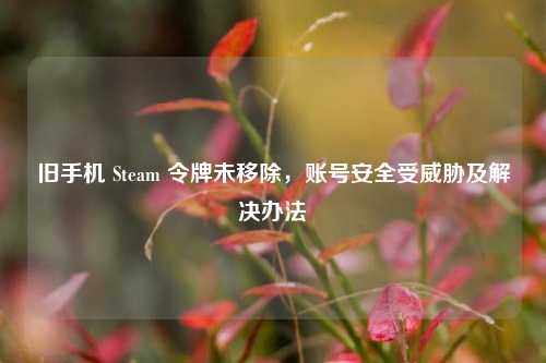 旧手机 Steam 令牌未移除,账号安全受威胁及解决办法