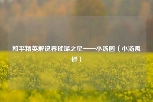 和平精英解说界璀璨之星——小汤圆(小汤姆逊)