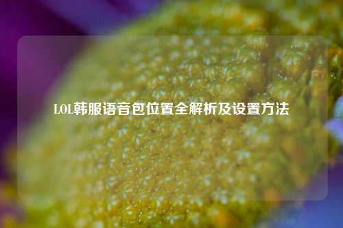LOL韩服语音包位置全解析及设置方法