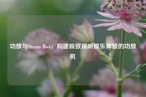 功放与Steam Box，构建极致视听娱乐体验的功放机