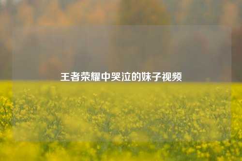 王者荣耀中哭泣的妹子视频