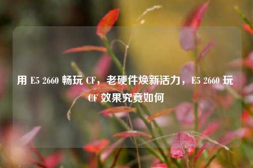 用 E5 2660 畅玩 CF，老硬件焕新活力，E5 2660 玩 CF 效果究竟如何