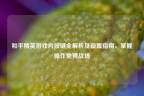 和平精英游戏内按键全解析及设置指南,掌握操作驰骋战场