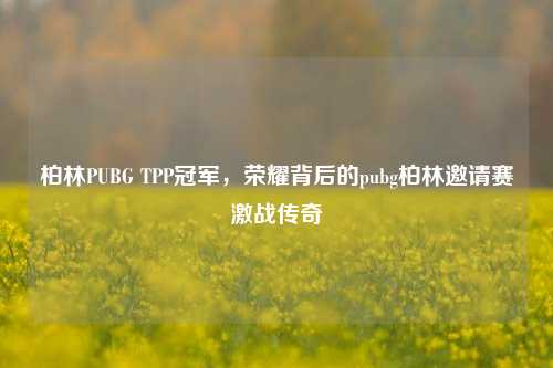 柏林PUBG TPP冠军，荣耀背后的pubg柏林邀请赛激战传奇