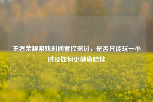 王者荣耀游戏时间管控探讨，是否只能玩一小时及如何更健康陪伴