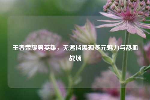 王者荣耀男英雄，无遮挡展现多元魅力与热血战场