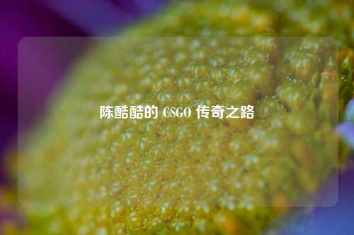 陈酷酷的 CSGO 传奇之路