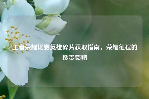 王者荣耀比赛英雄碎片获取指南,荣耀征程的珍贵馈赠