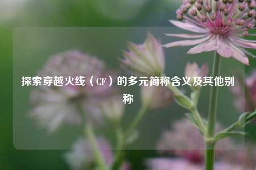 探索穿越火线(CF)的多元简称含义及其他别称