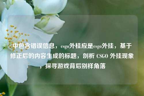 中包含错误信息,csgo外桂应是csgo外挂,基于修正后的内容生成的标题,剖析 CSGO 外挂现象,探寻游戏背后别样角落