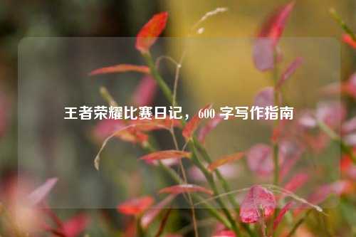 王者荣耀比赛日记，600 字写作指南