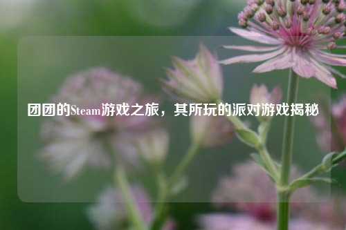 团团的Steam游戏之旅，其所玩的派对游戏揭秘