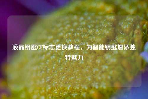 液晶钥匙CF标志更换教程,为智能钥匙增添独特魅力