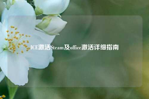 ICE激活Steam及office激活详细指南
