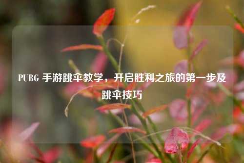 PUBG 手游跳伞教学，开启胜利之旅的第一步及跳伞技巧