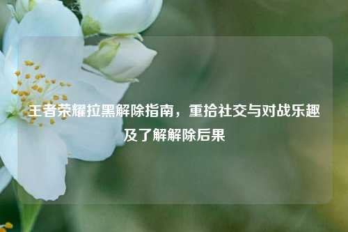 王者荣耀拉黑解除指南，重拾社交与对战乐趣及了解解除后果