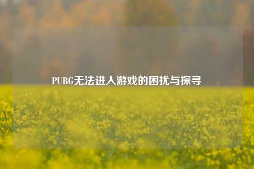 PUBG无法进入游戏的困扰与探寻