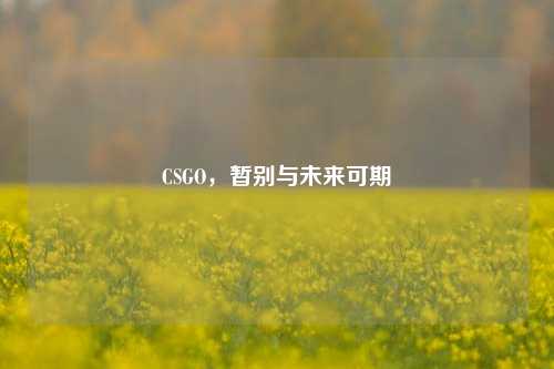 CSGO，暂别与未来可期