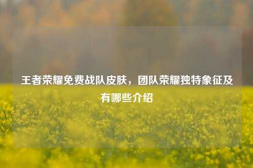王者荣耀免费战队皮肤，团队荣耀独特象征及有哪些介绍