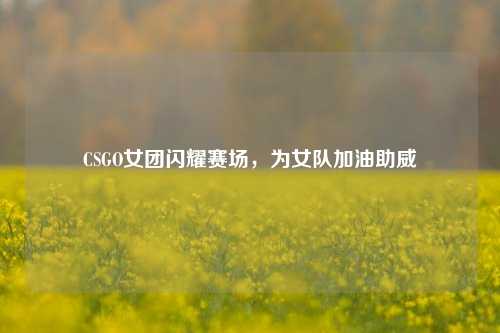 CSGO女团闪耀赛场,为女队加油助威