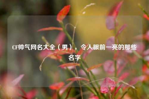 CF帅气网名大全（男），令人眼前一亮的那些名字