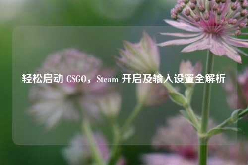 轻松启动 CSGO,Steam 开启及输入设置全解析