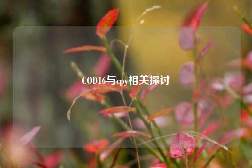 COD16与cpy相关探讨