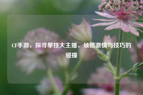 CF手游,探寻单挑大主播,领略激情与技巧的碰撞