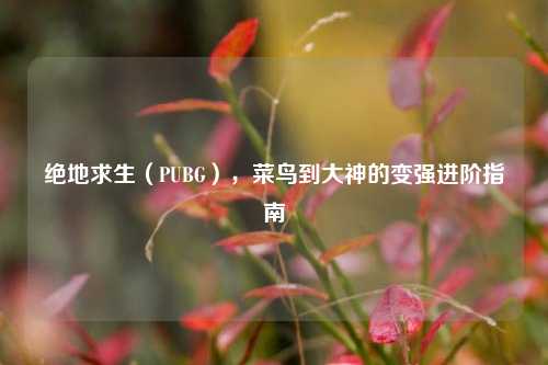 绝地求生(PUBG),菜鸟到大神的变强进阶指南