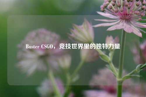 Buster CSGO，竞技世界里的独特力量