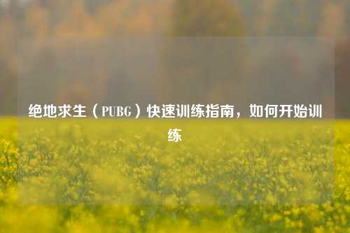 绝地求生(PUBG)快速训练指南,如何开始训练