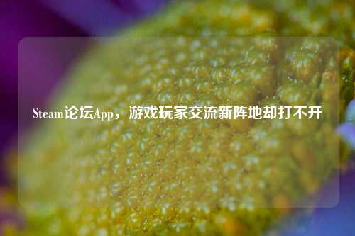 Steam论坛App,游戏玩家交流新阵地却打不开