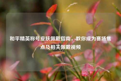 和平精英称号皮肤佩戴指南，教你成为赛场焦点及相关佩戴视频
