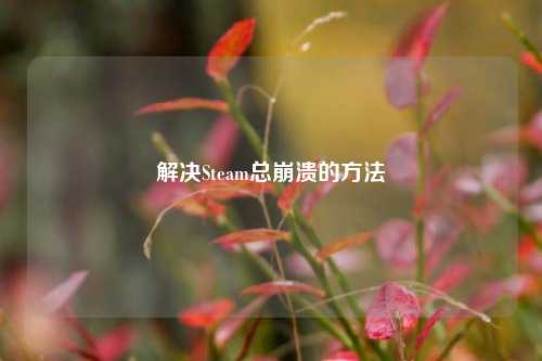解决Steam总崩溃的方法
