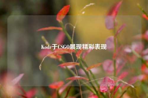 Kodr于CSGO展现精彩表现